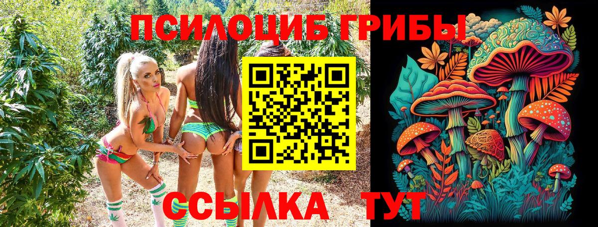 Кубинка  Галлюциногенные грибы GOLDEN TEACHER  Вход с VPN 